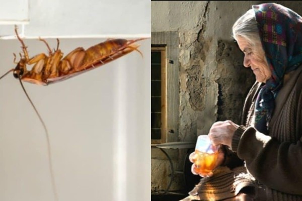 «Εξολοθρευτής» η γιαγιά: Το κόλπο για να απομακρύνετε τις κατσαρίδες από την κουζίνα μια και καλή