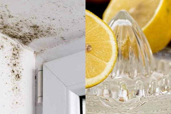 Υγρασία στο ταβάνι: Ξεφορτωθείτε την με λεμόνι και 2 ακόμα υλικά που έχετε στην κουζίνα σας