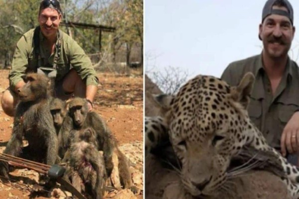 Κυνηγός σκότωσε λιοντάρια για μια φωτογραφία - Όμως στη συνέχεια έγινε κάτι σοκαριστικό