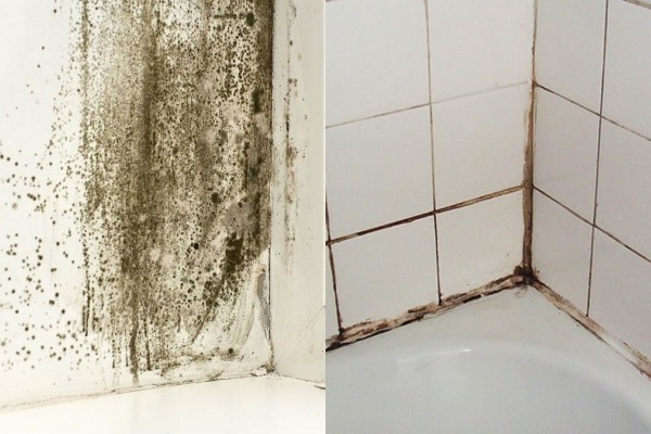 Μπάνιο χωρίς παράθυρο: Το πανέξυπνο κόλπο για να ανανεώσετε την ατμόσφαιρα και να εξαλείψετε την υγρασία