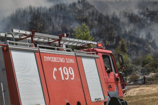 Θεσσαλονίκη: Φωτιά σε δασική έκταση στη Χαλκιδική