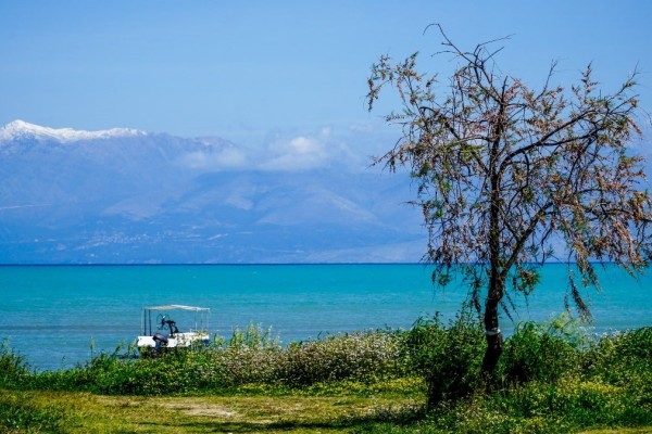 Η Φωτογραφία της Ημέρας: «Μύρισε» καλοκαίρι για τα καλά στην Κέρκυρα!