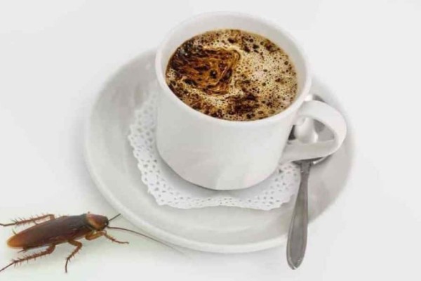 Φόβος και τρόμος ο καφές: Η φυσική «παγίδα» για να ξεφορτωθείτε μόνιμα τις κατσαρίδες