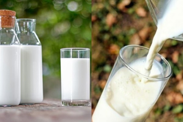 Δεν είναι μόνο το γάλα: 2+1 τροφές που έχουν περισσότερ ασβέστιο  - Με το 3ο θα μείνετε άφωνοι
