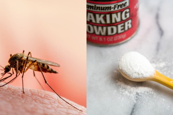 «Βάλσαμο» κόλπο για το τσίμπημα των κουνουπιών: Το θαυματουργό μείγμα με μαγειρική σόδα και 1 ακόμα υλικό για άμεση ανακούφιση από την φαγούρα