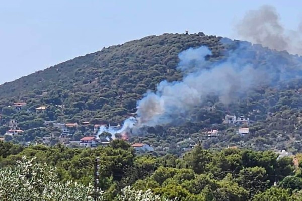 Μεγάλη φωτιά στην Αρτέμιδα - Οι φλόγες γλείφουν σπίτια (photos - video)