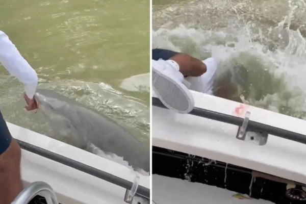 Καρχαρίας δάγκωσε ψαρά μέσα σε βάρκα στη Φλόριντα - Το τρομακτικό βίντεο κάνει τον γύρο του διαδικτύου!