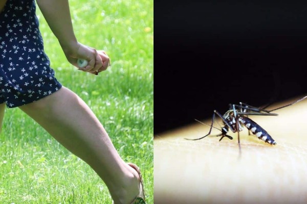 Ξεχάστε τα καλοκαιρινά τσιμπήματα: Ο εχθρός των κουνουπιών είναι ένας και βρίσκεται στο ντουλάπι της κουζίνας 