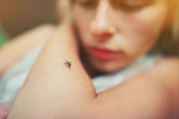 Γιατί τσιμπούν εσάς και όχι τον διπλανό σας; 6+1 βασικοί λόγοι που σας επιτίθενται τα κουνούπια