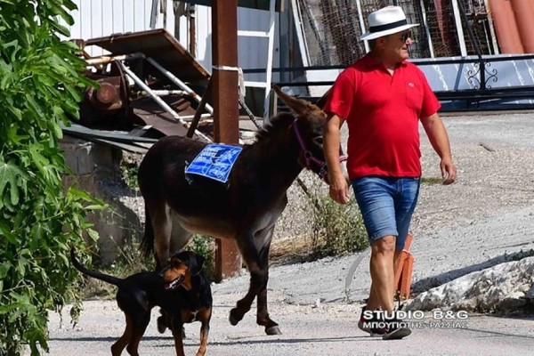 Εκλογές 2023: Πήγε να ψηφίσει με το… γαϊδουράκι του (video)