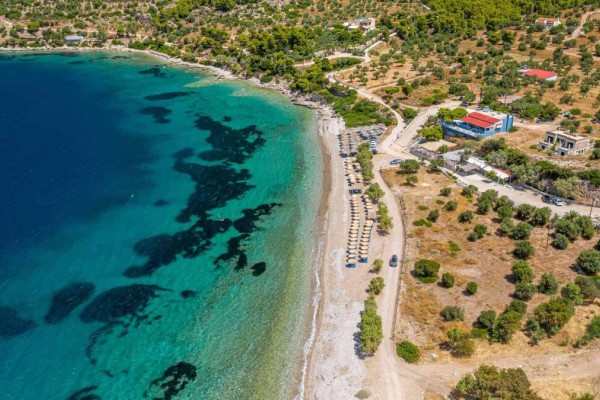 Μόνο 1 ώρα από την Αθήνα: Η καταπράσινη παραλία με τα γαλάζια νερά που γνωρίζουν ελάχιστοι (Video)
