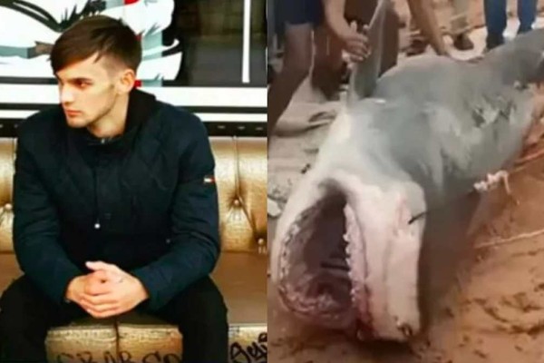Αίγυπτος: Σκότωσαν τον καρχαρία που κατασπάραξε 23χρονο Ρώσο – Βρήκαν κομμάτια του σώματός του μέσα στο ζώο