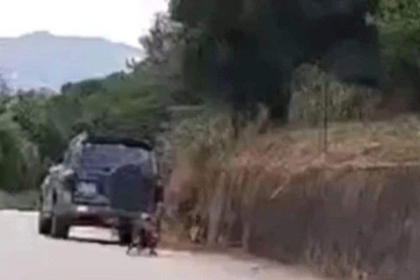 Κτηνωδία στη Ζάκυνθο: Οδηγός έσερνε κατσίκα με το αυτοκίνητο - Σοκάρει το βίντεο