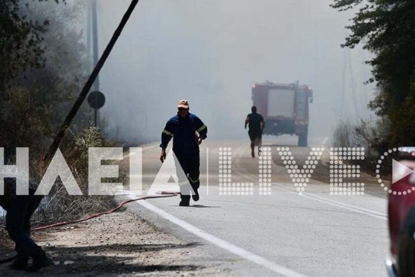 Φωτιά στην Ηλεία: Μια ανάσα από τα σπίτια οι φλόγες - Μήνυμα του 112 για εκκένωση τεσσάρων οικισμών
