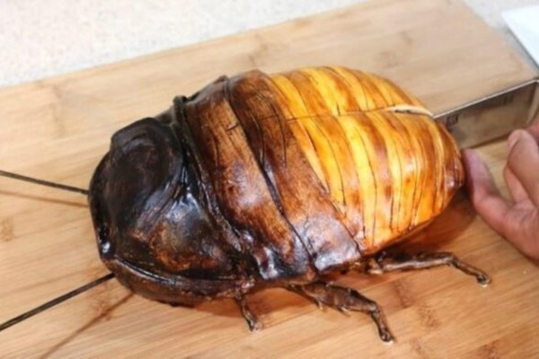 Αυτή είναι η μεγαλύτερη «κατσαρίδα» στον κόσμο - Μόλις δείτε όμως τι έχει μέσα της, θα εκπλαγείτε…