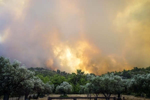 Ανεξέλεγκτη φωτιά στη Μεσσηνία - Επιχειρούν πυροσβεστικές δυνάμεις και εθελοντές