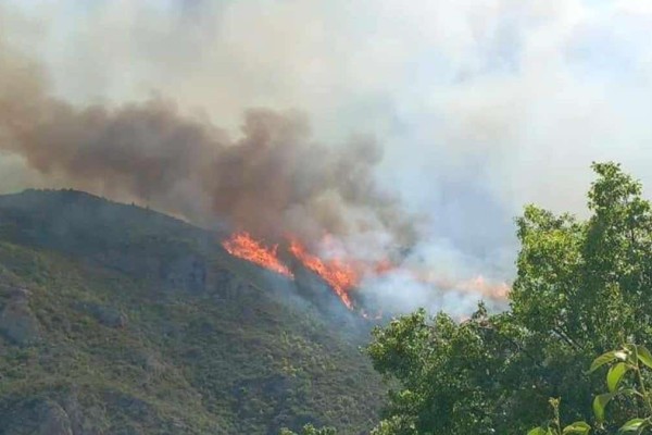 Φωτιά στην Αιγιαλεία: Εκκενώσεις δύο οικισμών – Έκλεισε η παλαιά εθνική οδός Πατρών-Κορίνθου