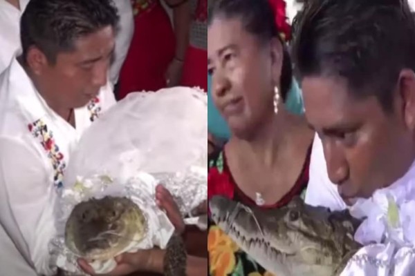 Εναλλακτικός γάμος: Άνδρας πρωτοτύπησε και παντρεύτηκε έναν... αλιγάτορα (video)