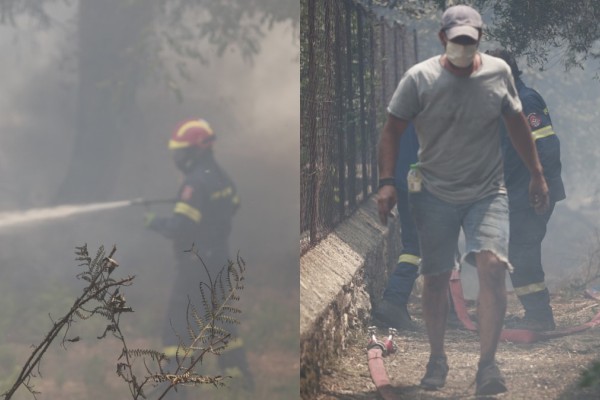Συναγερμός στην Κέρκυρα: Η φωτιά μπήκε στο χωριό Λούτσες - Καίγονται σπίτια