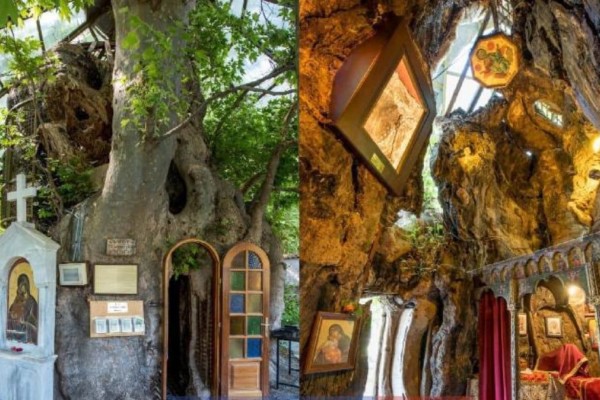 Το ομορφότερο εκκλησάκι για την Παναγία: Το μοναδικό στην Ελλάδα που βρίσκεται μέσα σε έναν πλάτανο 1000 ετών