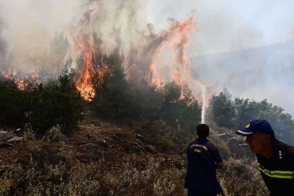 Φωτιά στα Δερβενοχώρια: «Πάμε, θα καούμε» - Βίντεο της ΕΛ.ΑΣ από τις επιχειρήσεις εκκένωσης στη Μάνδρα