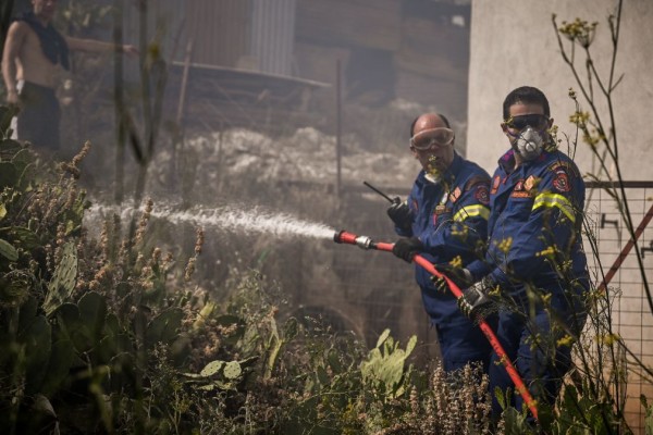 Φωτιά στη Φθιώτιδα: Σε κρίσιμη κατάσταση 67χρονος εγκαυματίας - Πήγε να σώσει τα μελίσσια του