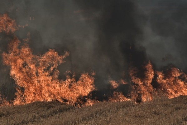 Φωτιά στην Καστοριά: Σε δύσκολο σημείο η επιχείρηση της Πυροσβεστικής - Ψηλά στο βουνό οι φλόγες (video)