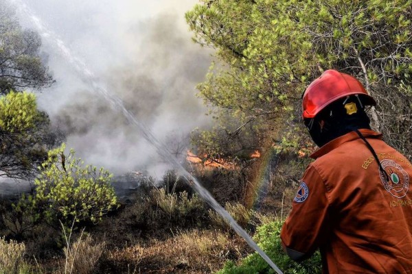 Φωτιά στην Καστοριά - Επιχειρούν ισχυρές πυροσβεστικές δυνάμεις