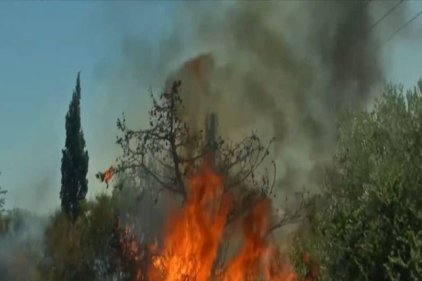 Φωτιά στο Λουτράκι: Έκλεισε η Εθνική Οδός Αθηνών-Κορίνθου και στα δύο ρεύματα - Προς Καλαμάκι κινείται η πύρινη λαίλαπα (Video)