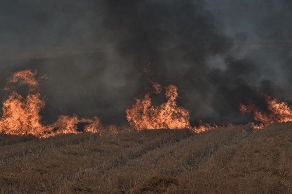 Φωτιά στη Μεσσηνία - Άμεση κινητοποίηση της Πυροσβεστικής