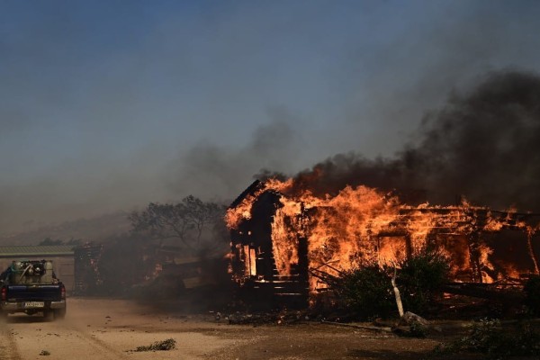 Φωτιά στο Νέο Κουβαρά: Προσήχθη αλλοδαπός για την πυρκαγιά - «Οι φλόγες κάλυψαν 12 χιλιόμετρα σε 2 ώρες» (Video)