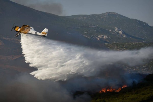 Φωτιά στην Πέλλα: Κινητοποιήθηκαν επίγειες και εναέριες δυνάμεις