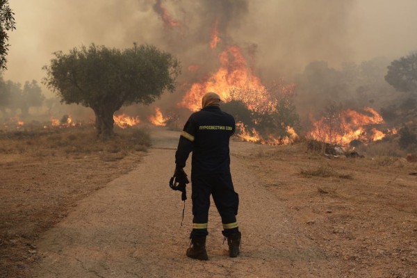 Φωτιά στη Μεσσηνία: «Με εξιτάρουν οι ρίψεις από τα εναέρια» είπε ο 30χρονος εμπρηστής - Είχε συλληφθεί και το 2022