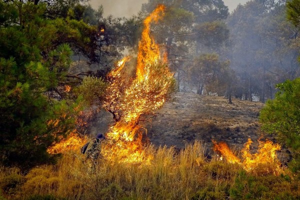 Φωτιές: Μεγάλες αναζωπυρώσεις σε Δυτική Αττική, Ρόδο και Λευκόχωμα Λακωνίας - Τα βίντεο συγκλονίζουν