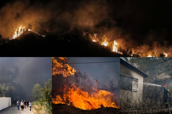 Πύρινα μέτωπα σε Λαμία και Τιθορέα: Κάηκαν σπίτια  - Εκκενώθηκαν οικισμοί - Στο νοσοκομείο 4 άτομα με αναπνευστικά προβλήματα