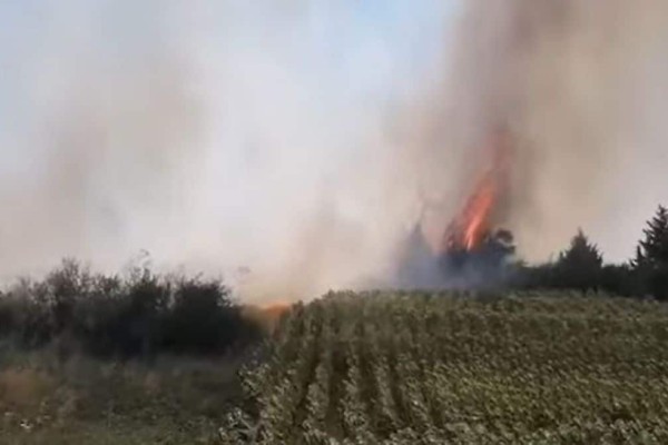 Φωτιά στο Διδυμότειχο δίπλα σε σπίτια - Κινητοποίηση της Πυροσβεστικής (photos)