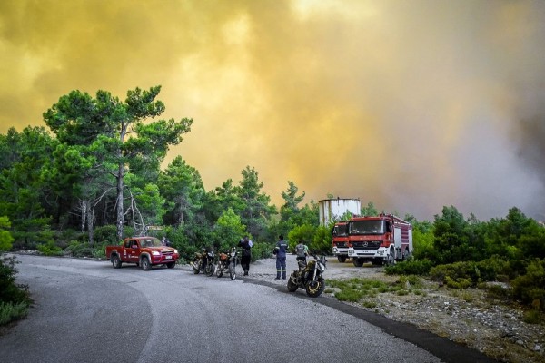 Φωτιά στη Μάνδρα: Αναζοπυρώθηκε η εστία στο Καραούλι - Άμεση κινητοποίηση της Πυροσβεστικής 