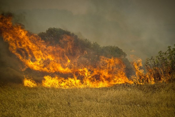 Πυρκαγιά στη Ρόδο: Μήνυση για εμπρησμό από πρόθεση των δασών της Ρόδου θα υποβάλει ο δήμαρχος - Ποια αδικήματα θα αφορά