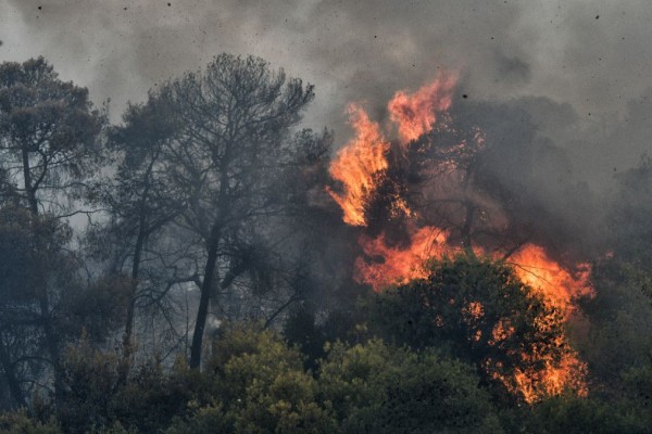 Μεγάλη φωτιά στη Μυτιλήνη - Τεράστια επιχείρηση της Πυροσβεστικής