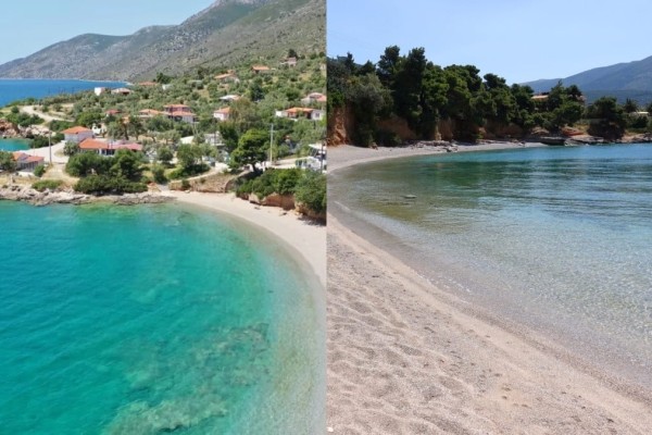 Νερά σαν πισίνα και καταπράσινο τοπίο: Η παραλία 1,5 ώρα από την Αθήνα με τα καταγάλανα νερά και την πλούσια βλάστηση που θυμίζει παράδεισο