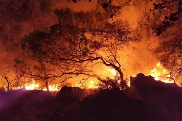Ολονύχτια μάχη με τις φλόγες στη Βοιωτία: Εκκενώθηκε ο οικισμός Πρόδρομος - Καίει σε δύο μέτωπα η φωτιά (videos)