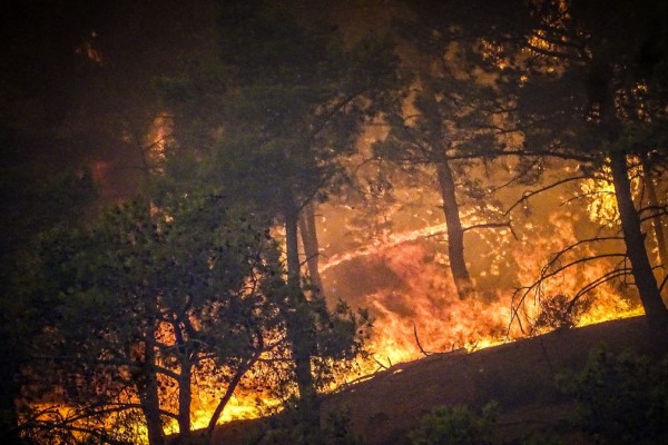 Ευθύμης Λέκκας: Οι 5 λόγοι που η πυρκαγιά στη Ρόδο εξελίχθηκε ραγδαία - «Τα αεροπλάνα ήταν δύσκολο να επιχειρήσουν» (video)