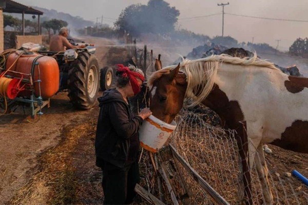 Η πύρινη λαίλαπα σε Λουτράκι και Δερβενοχώρια μέσα από τον φωτογραφικό φακό του Associated Press (photos)