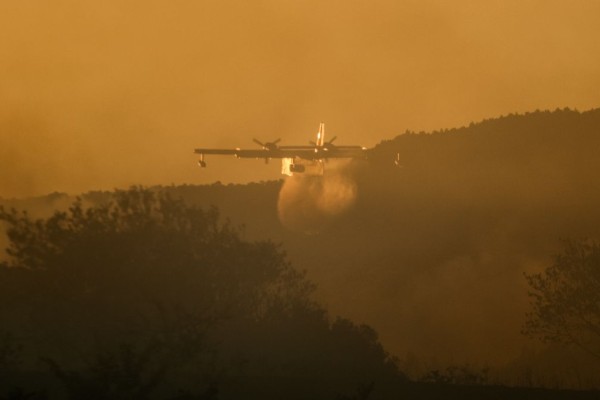 Πυρκαγιές: Ήρωας πιλότος «βουτάει» το canadair μέσα στα φλεγόμενα βουνά (video)