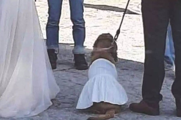 Πήλιο: Σκύλος έγινε παρανυφάκι σε γάμο με το δικό του λευκό φόρεμα και μαγνήτισε τα βλέμματα