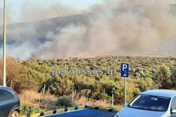 Φωτιά στον Πρόδρομο Βοιωτίας - Μήνυμα 112 στους κατοίκους της περιοχής