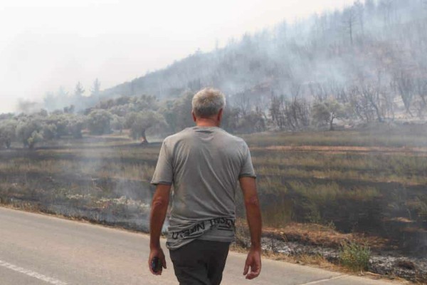 Φωτιά στον Έβρο: 12η μέρα μάχης με τις φλόγες – Συνεχίζεται η τεράστια οικολογική καταστροφή – Η επόμενη ημέρα