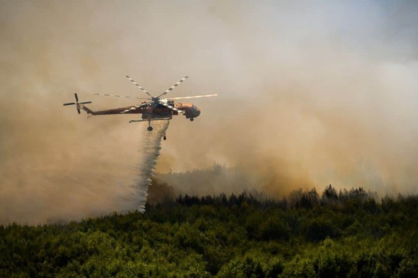 Φωτιά στην Αλεξανδρούπολη: Νέο μήνυμα 112 στους κατοίκους της πόλης - «Παραμείνετε σε εσωτερικούς χώρους»