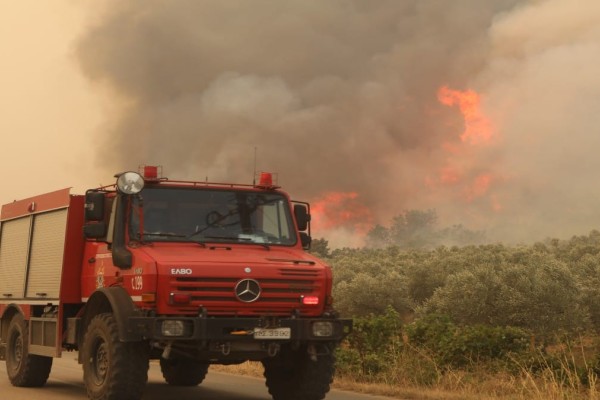 Ασύλληπτη τραγωδία στη φωτιά στον Έβρο: Εντοπίστηκαν τουλάχιστον 18 απανθρακωμένοι μετανάστες στο δάσος τη Δαδιάς