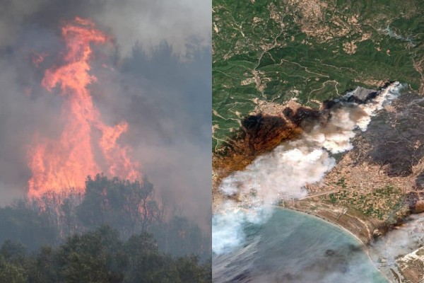 Φωτιά στην Αλεξανδρούπολη: Τρία ενεργά μέτωπα – Τεράστια καταστροφή σε Έβρο και Ροδόπη – Έκλεισε η Εγνατία